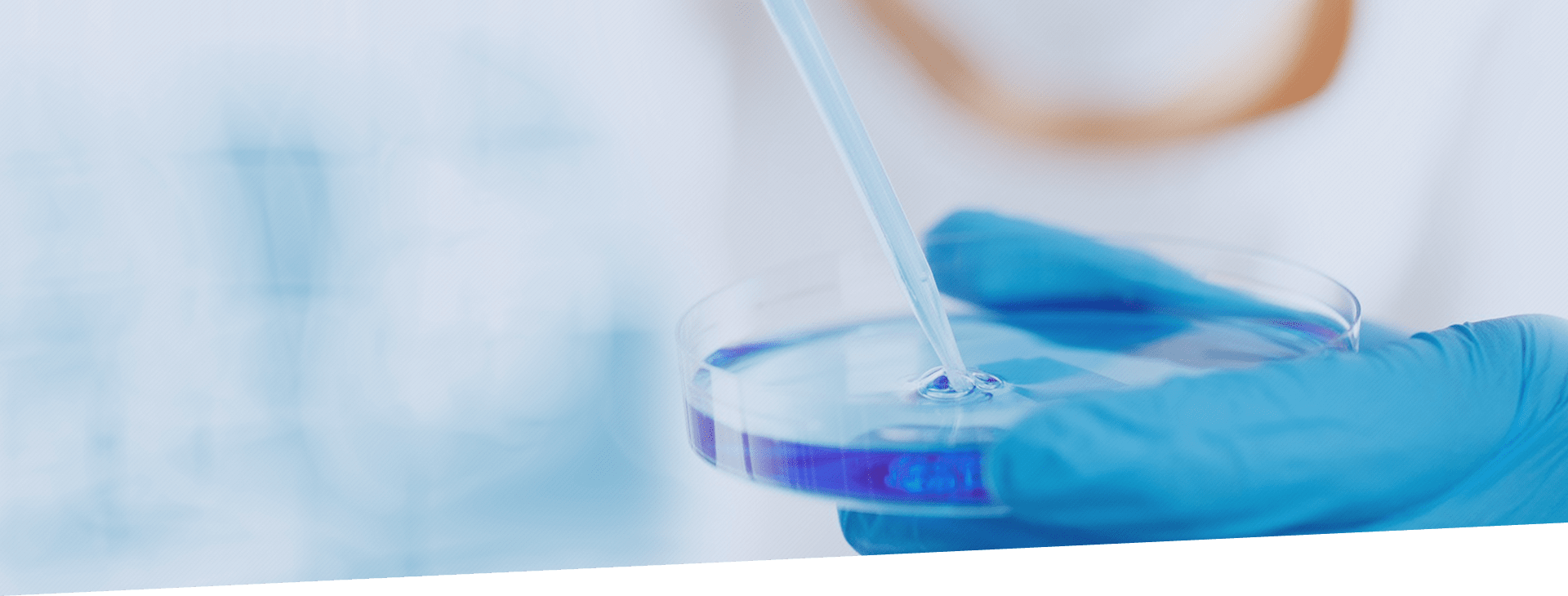 9001cc金沙以诚为本(中国集团)有限公司官网