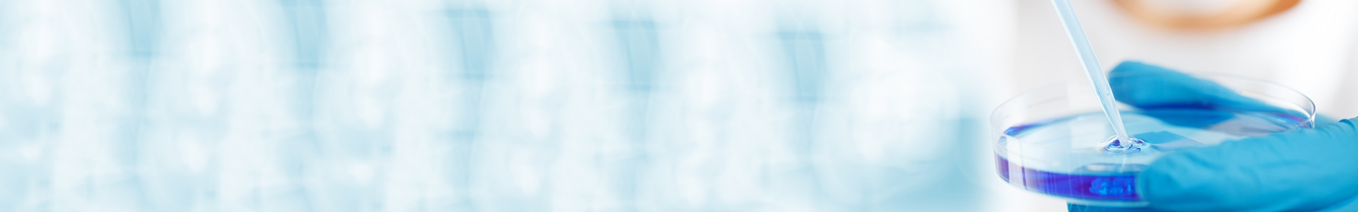 9001cc金沙以诚为本(中国集团)有限公司官网