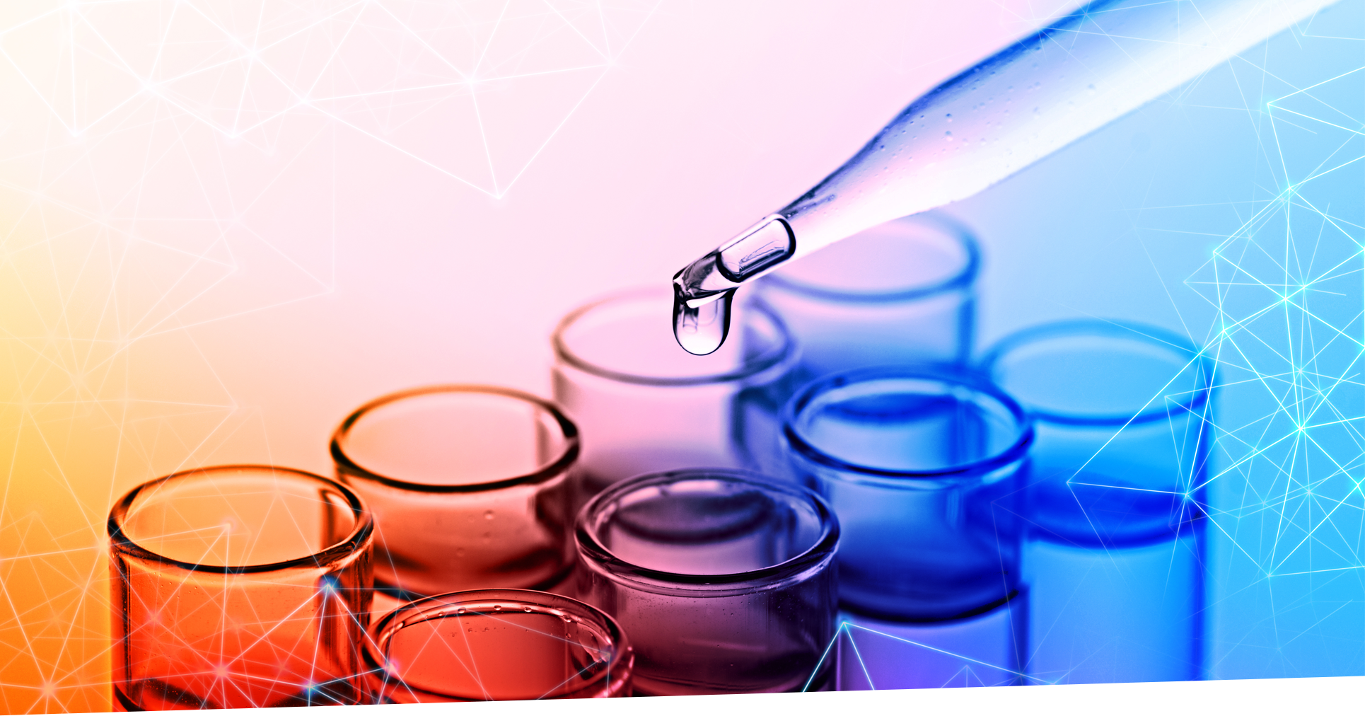 9001cc金沙以诚为本(中国集团)有限公司官网